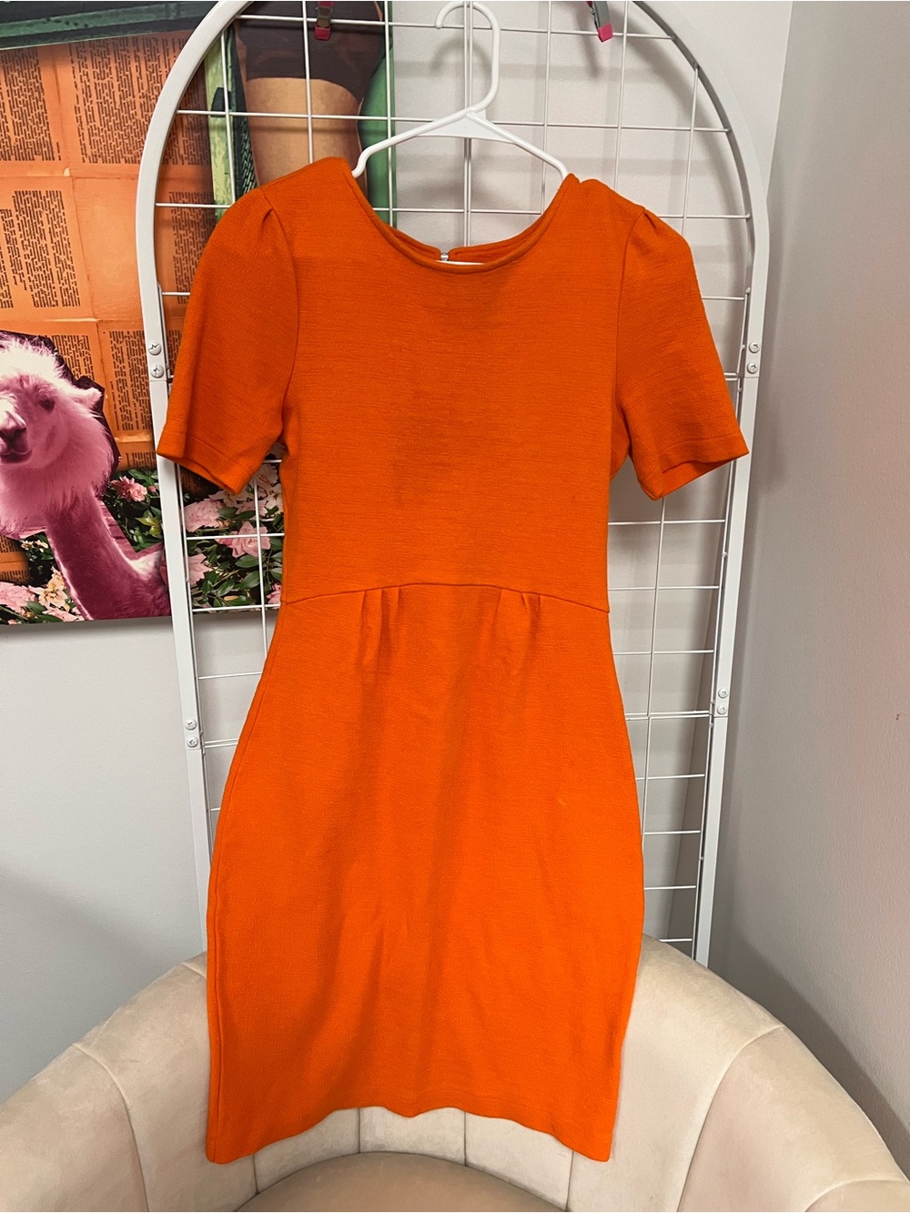 Daniel Cremieux Bright Orange Short Sleeve Sheath Dress